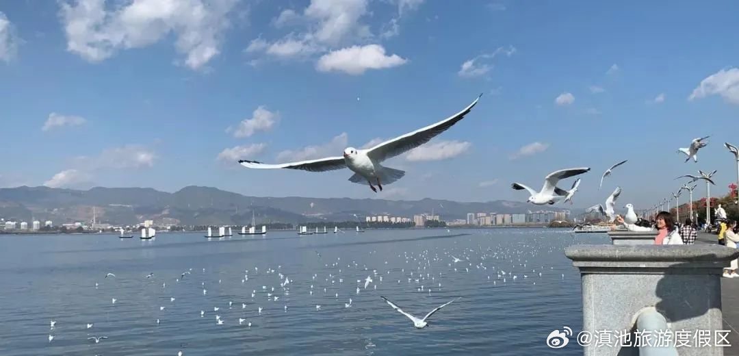 驿站传爱意 大坝添新意