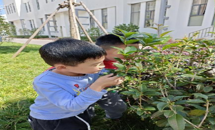 昆明西山教育体育