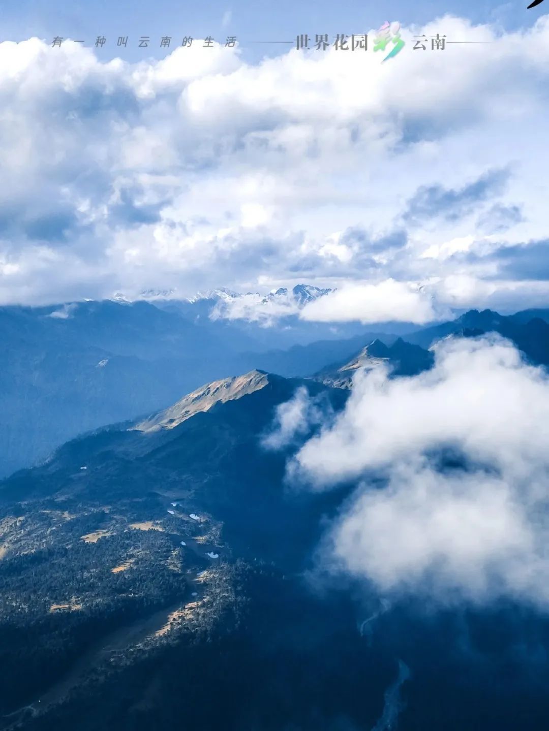 云南省文化和旅游厅