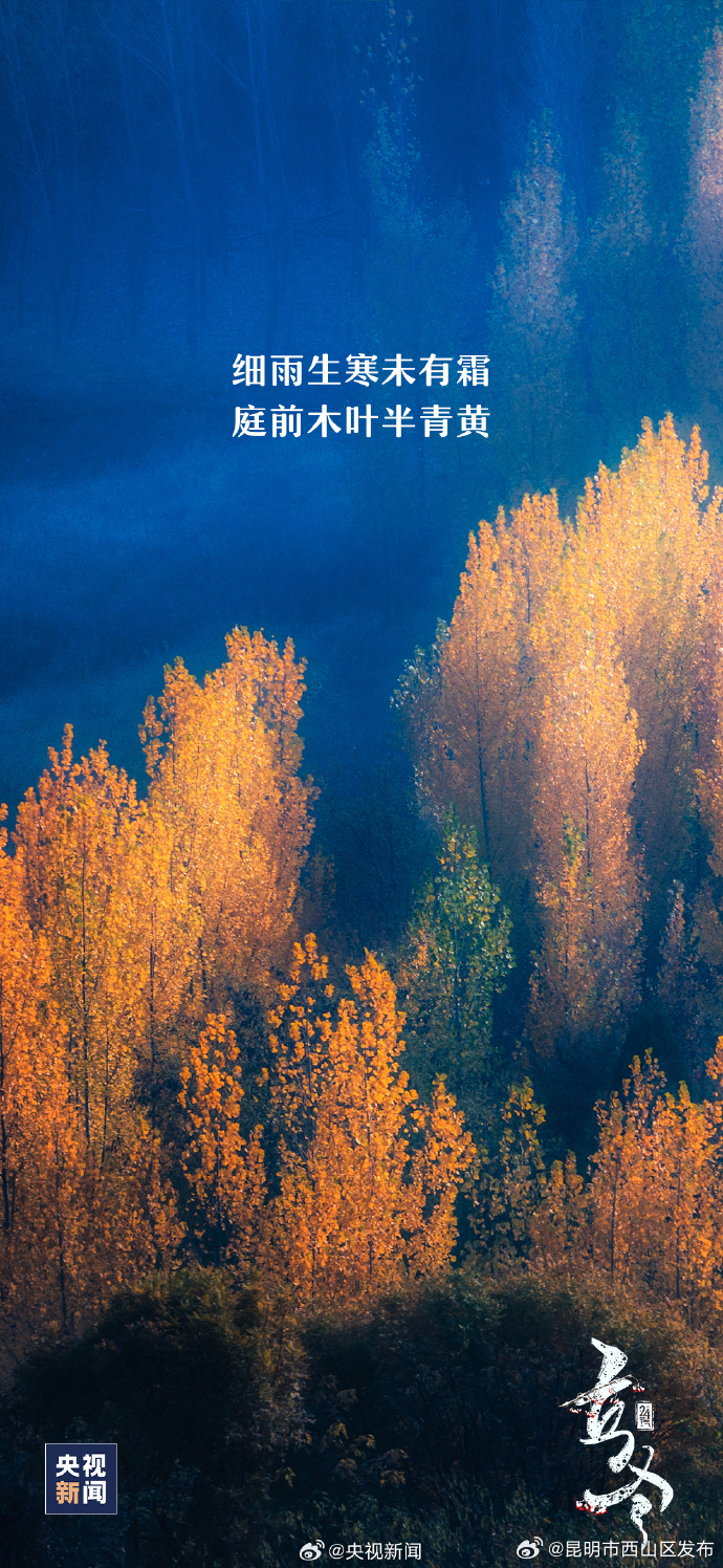 昆明市西山区发布