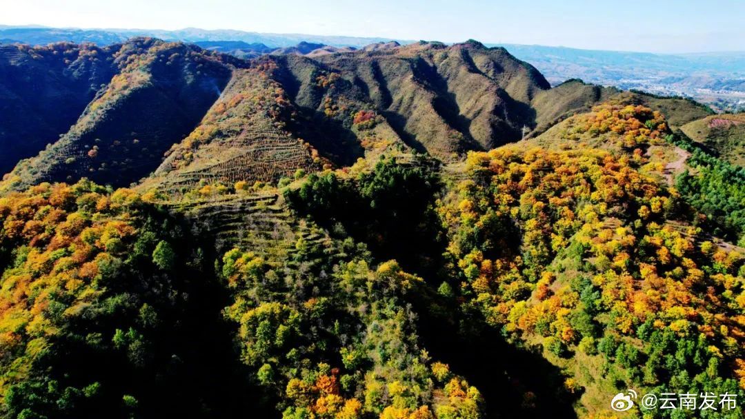 昭通鲁甸：水磨、龙树远山近岭叠翠流金美如画