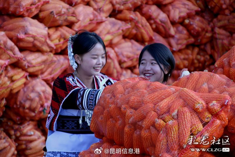 昆明信息港微博