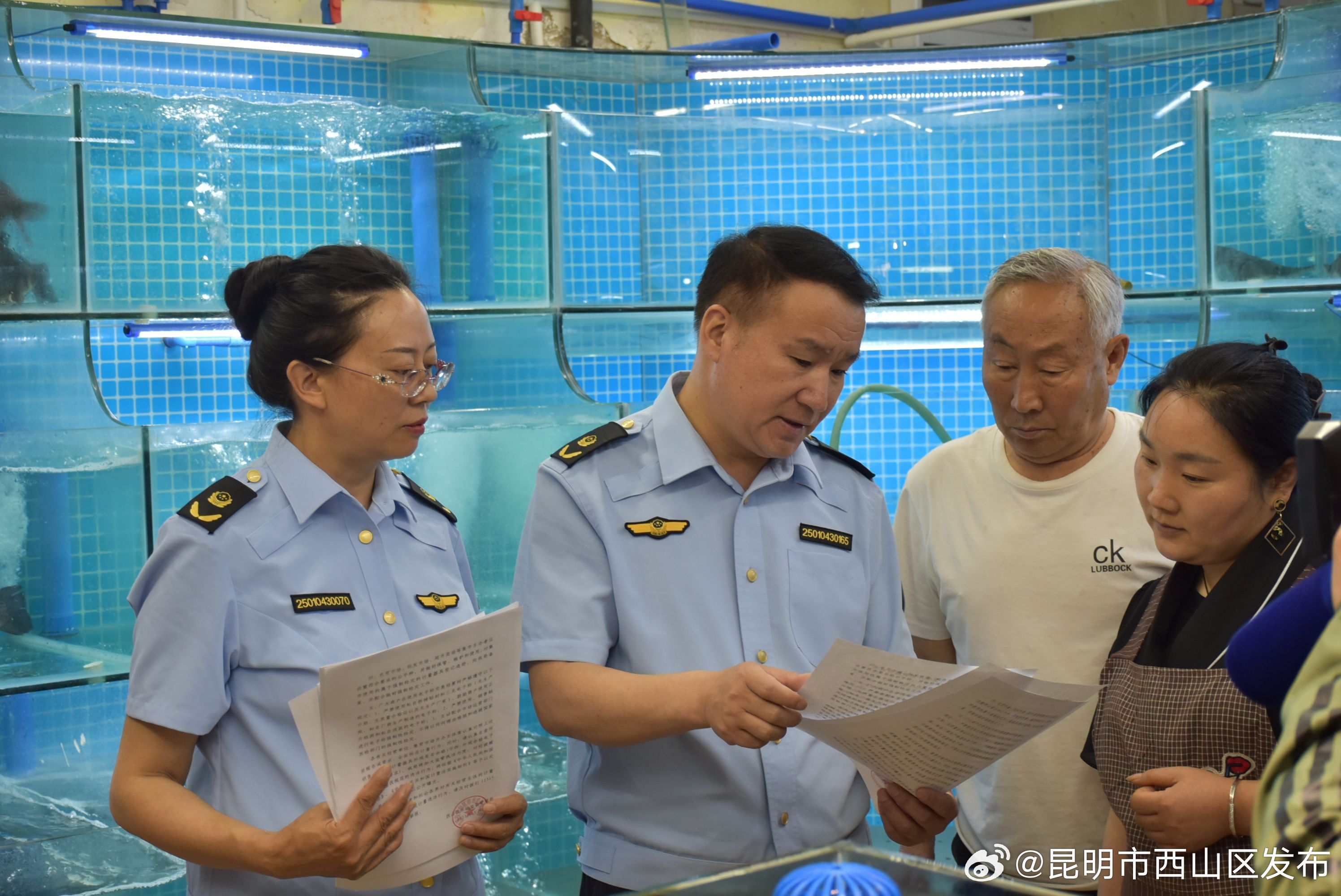 昆明市西山区发布