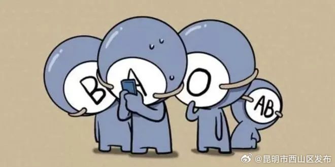 昆明市西山区发布