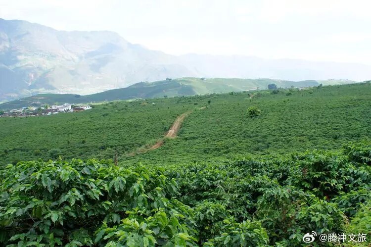 腾冲文旅
