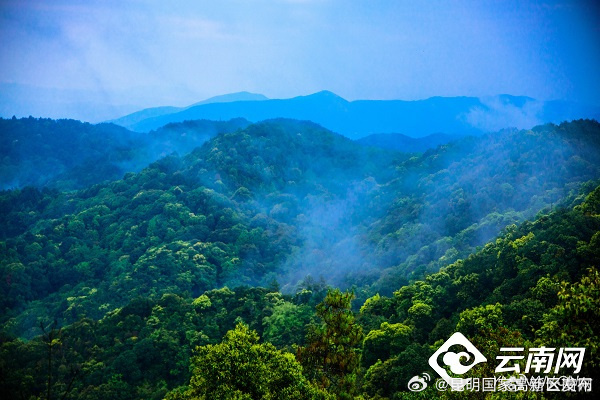 云南省未来24小时天气预报