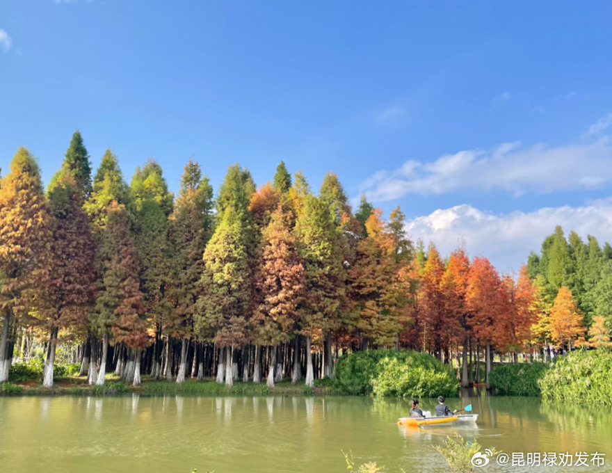 2023旅交会·相约温暖云南丨逃离降温计划 启动！