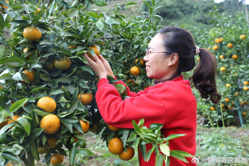 昆明富民发布