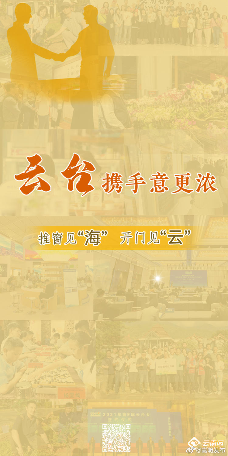 推窗见“海” 开门见“云”！云台携手意更浓