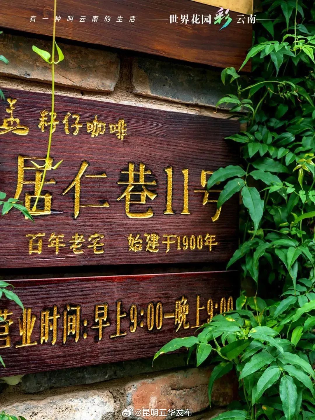 昆明五华发布