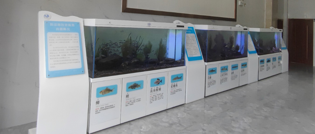 昆明阳宗海风景名胜区