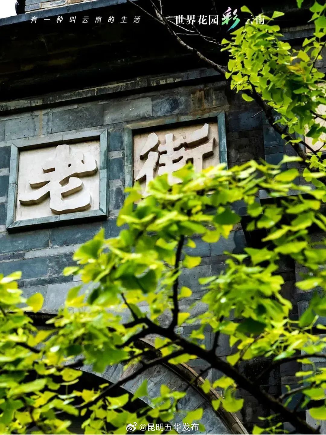 昆明五华发布