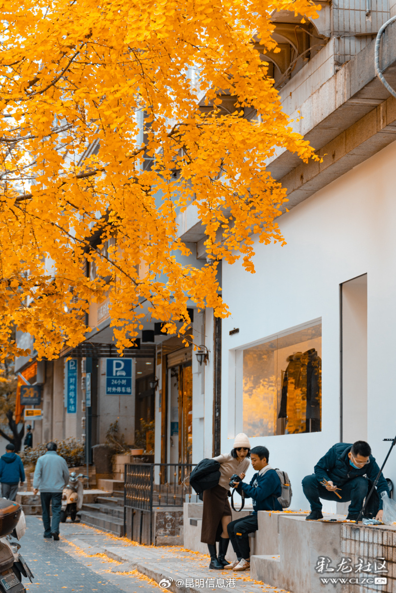 昆明信息港微博