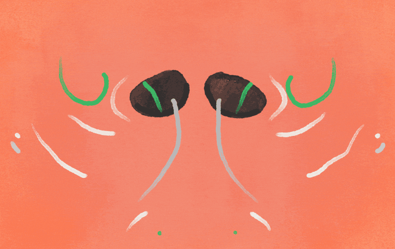 人为什么闻不到自己的口臭