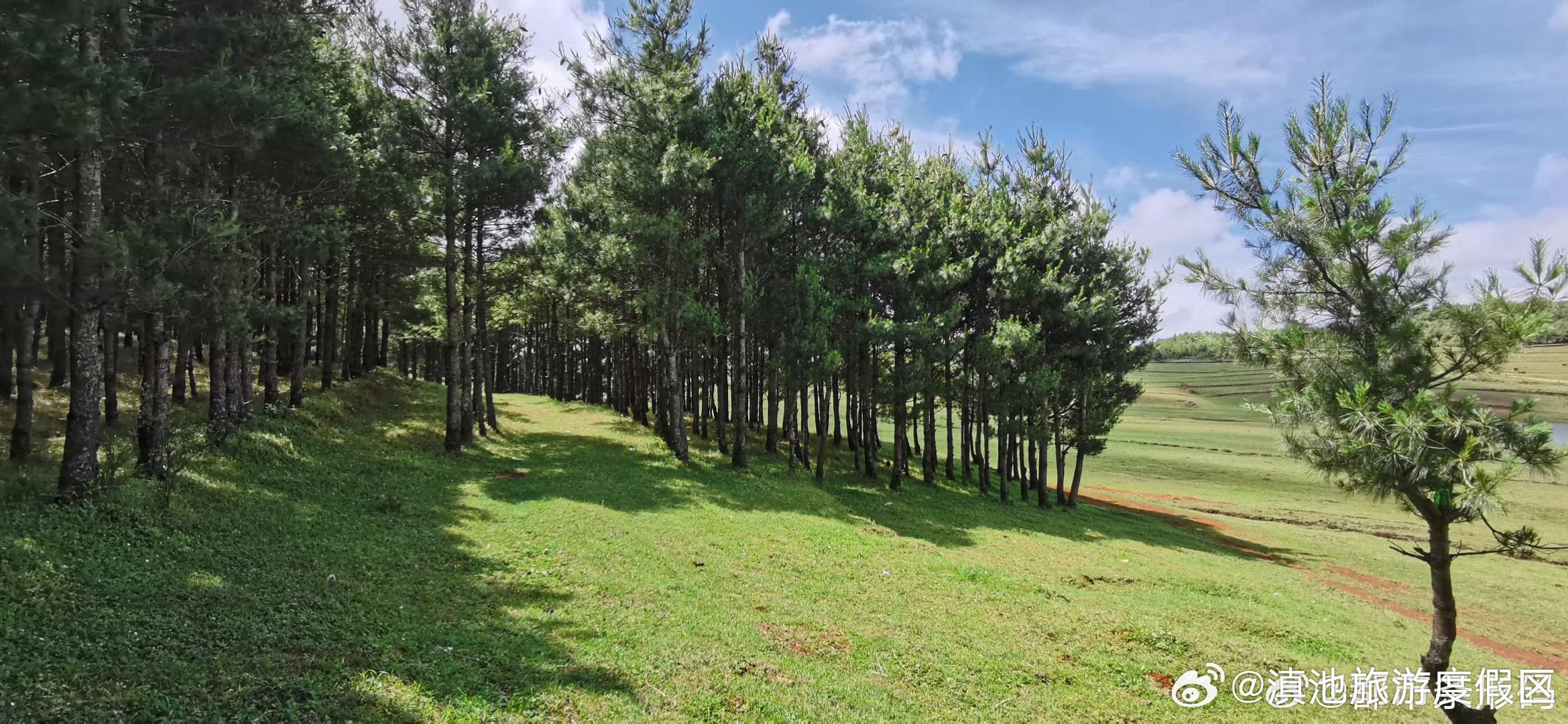 云南省天气预报