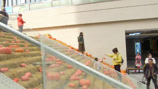昆明寻甸发布