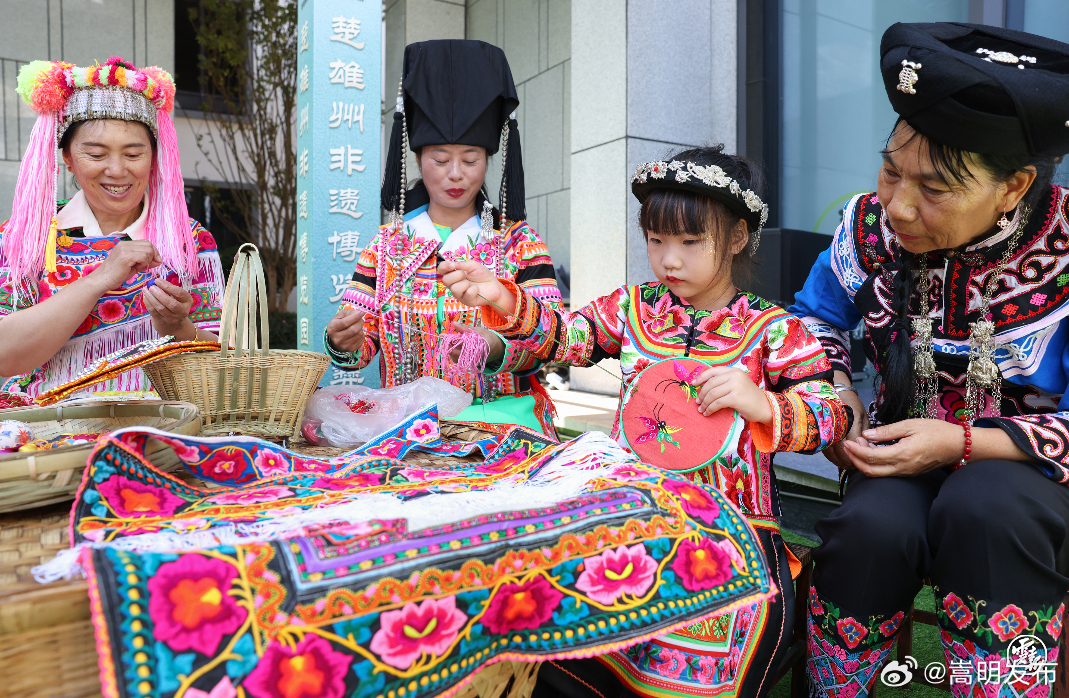 省委书记点赞的楚雄彝绣是啥样的？