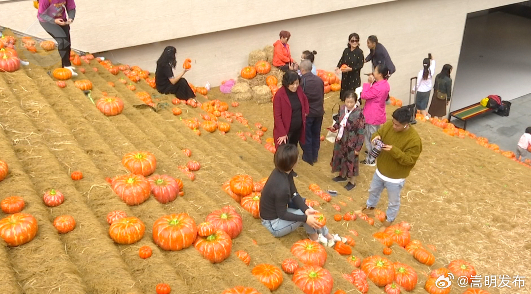 一不小心，昆明这里又双叒叕火了！