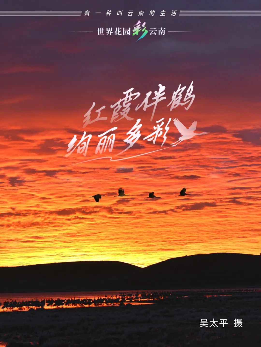云南省文化和旅游厅