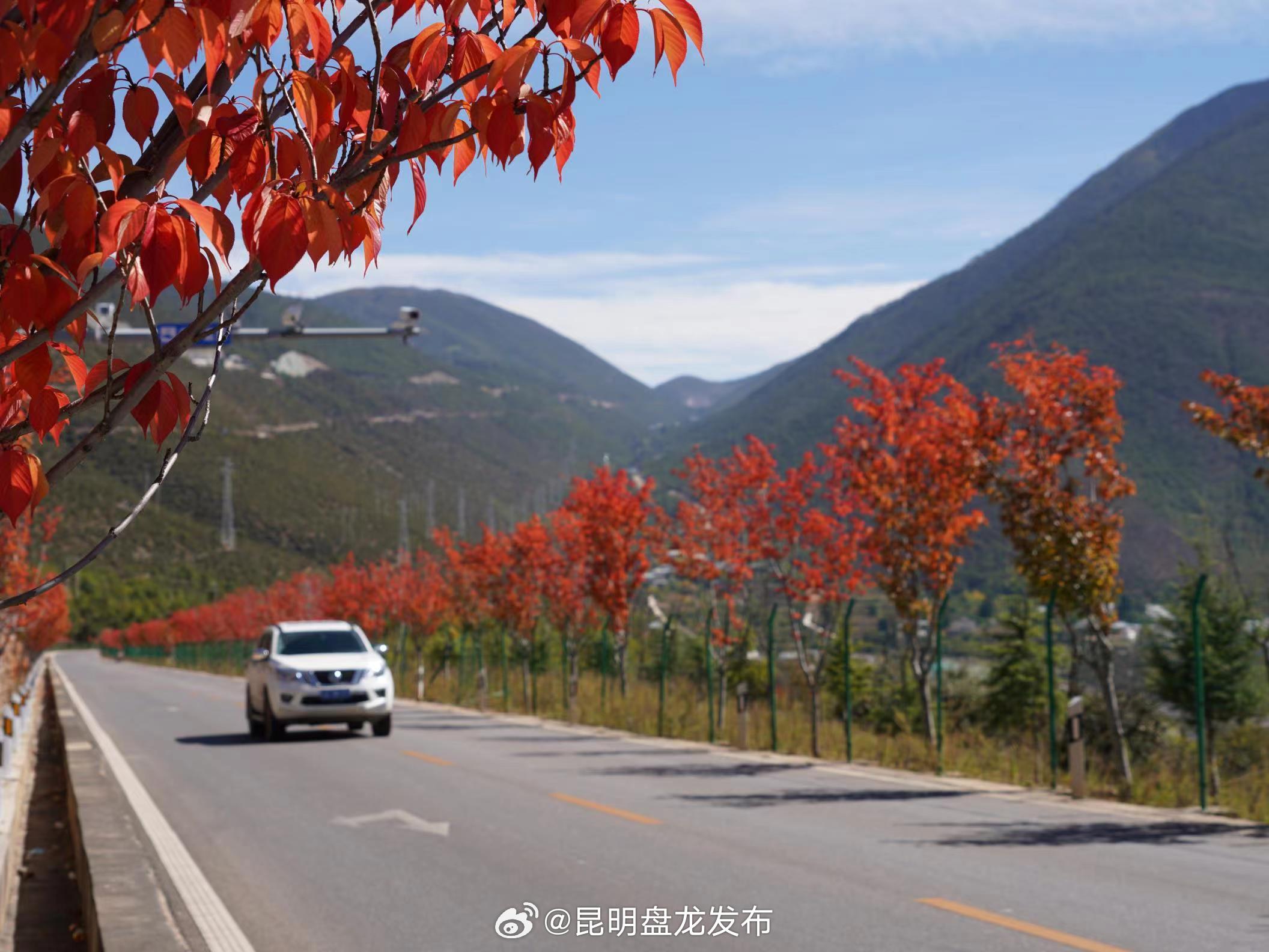 香格里拉市：人在车中坐，景从路上来
迪庆香格里拉