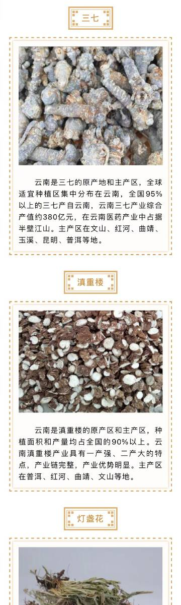 最新“十大云药”品牌发布！