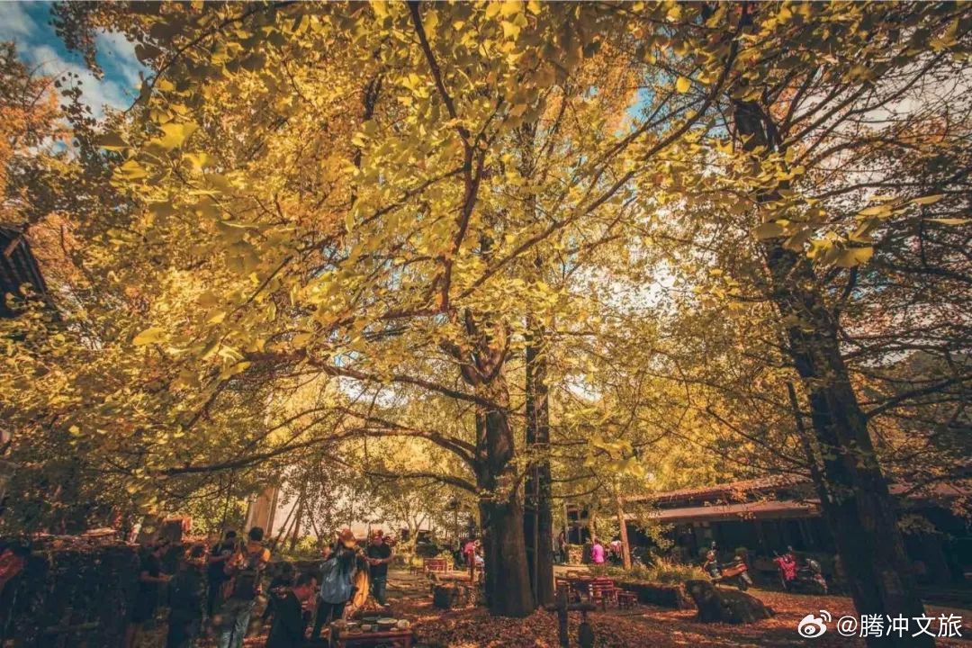 腾冲文旅