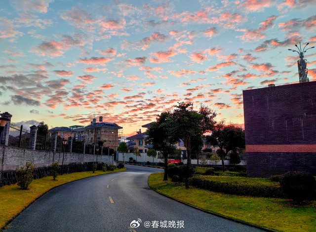 春城晚报