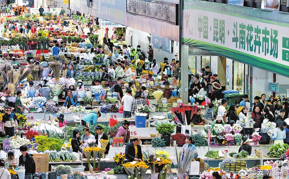 昆明鲜切花“双11”供不应求
