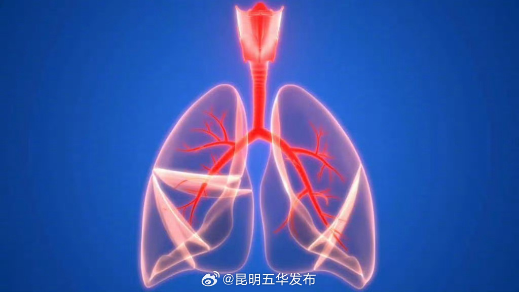 什么样的肺结节容易恶变 