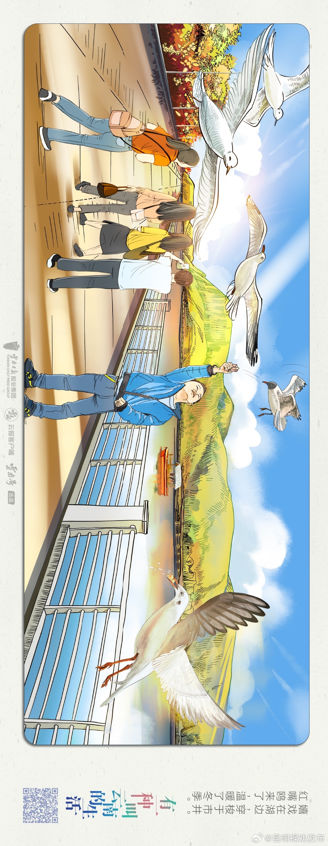 手绘有一种叫云南的生活⑨｜候鸟翩跹 又到观鸥季