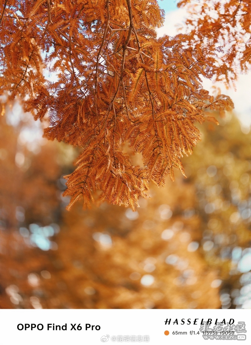 昆明信息港微博