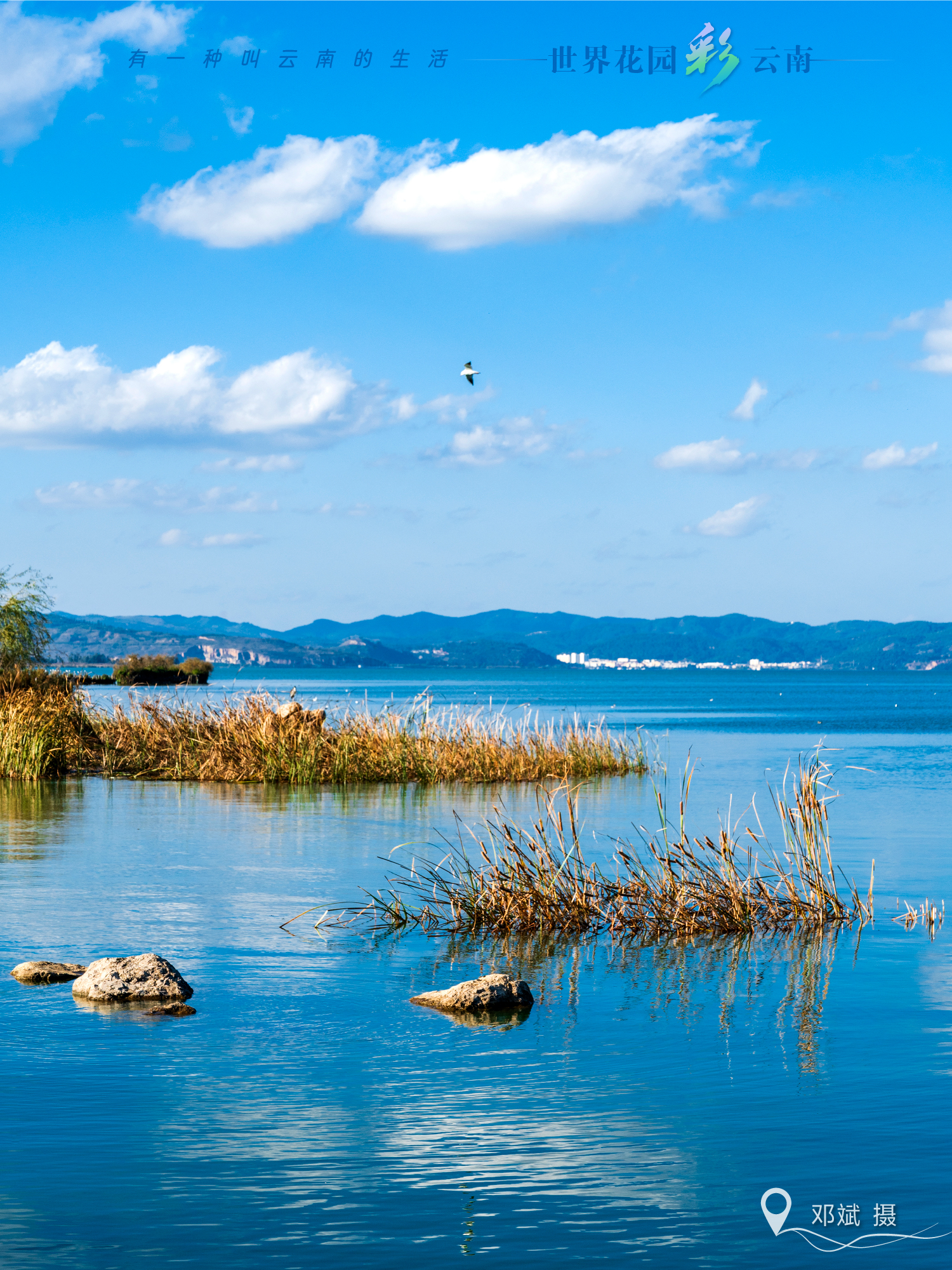 云南省文化和旅游厅