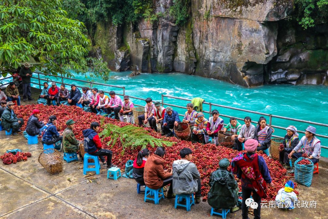 云南省人民政府网