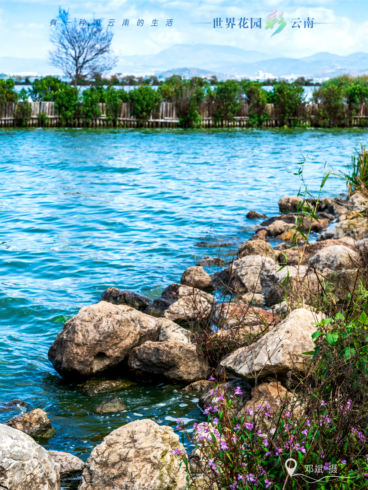 云南省文化和旅游厅