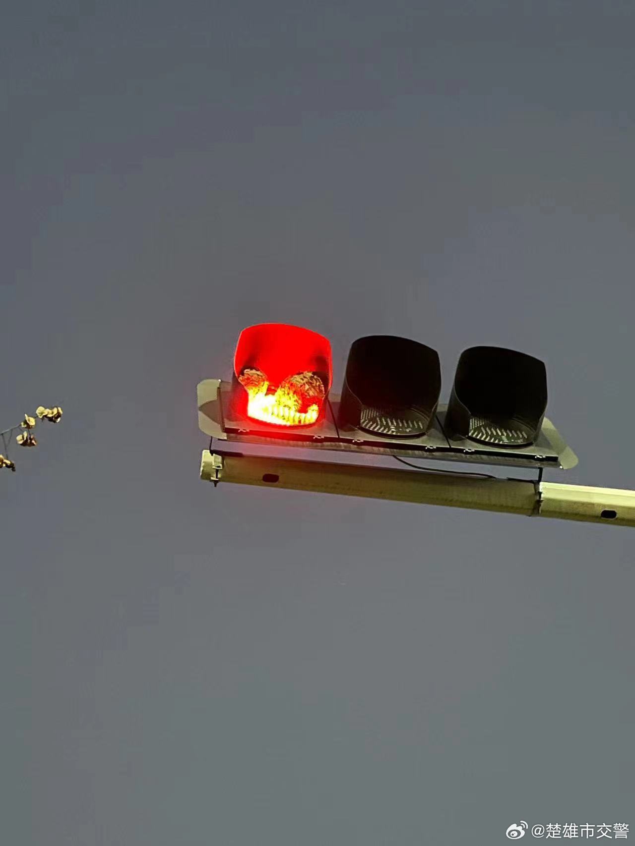 楚雄市交警