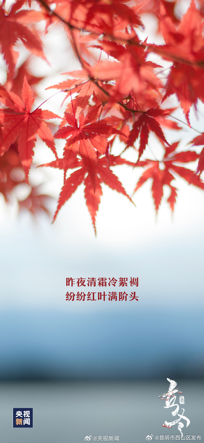 昆明市西山区发布