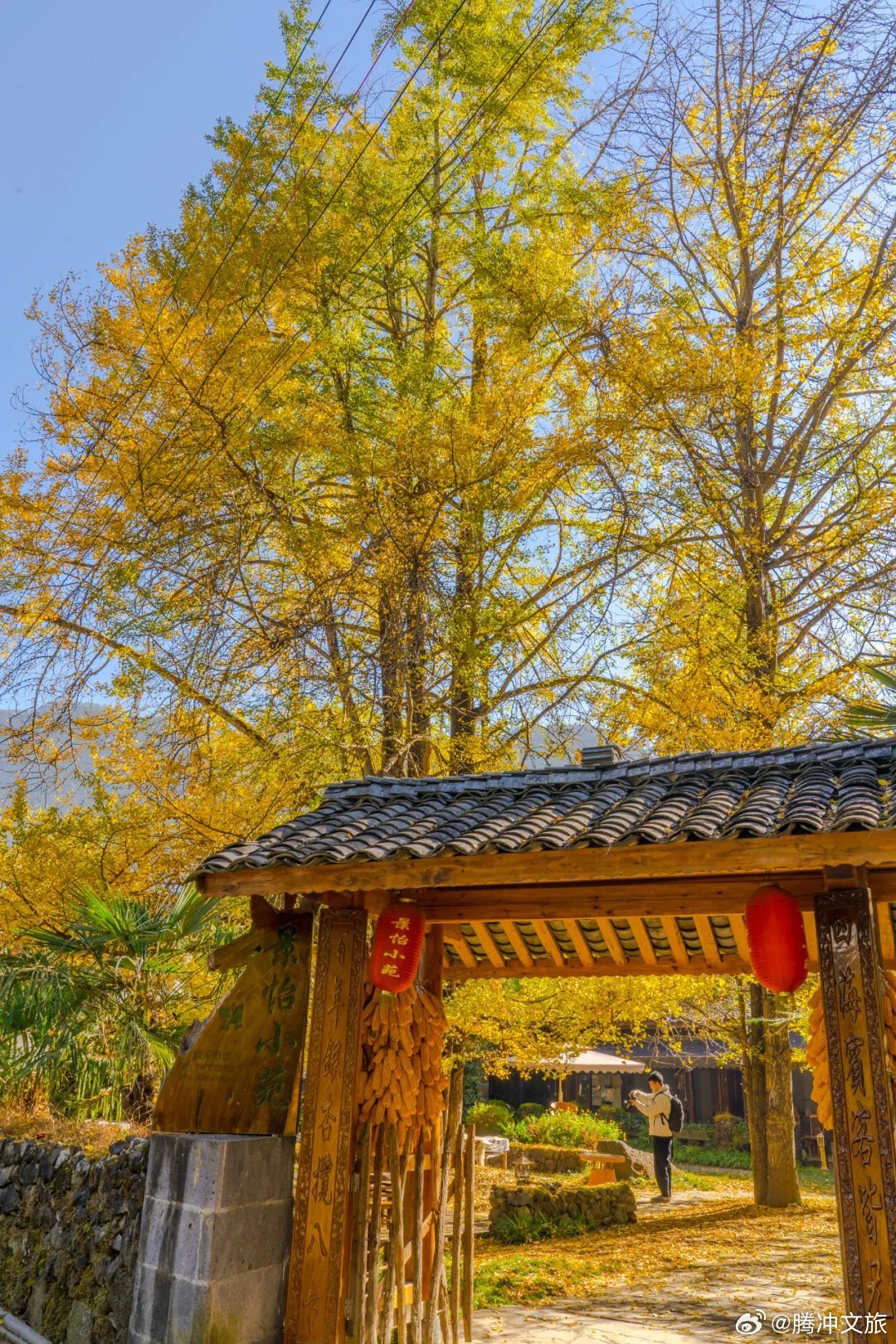 腾冲文旅