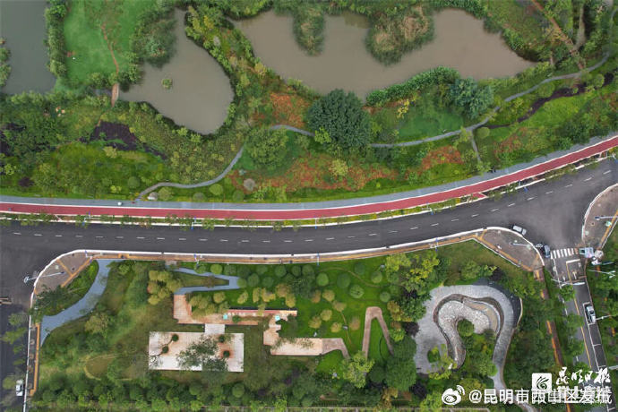 昆明市西山区发布