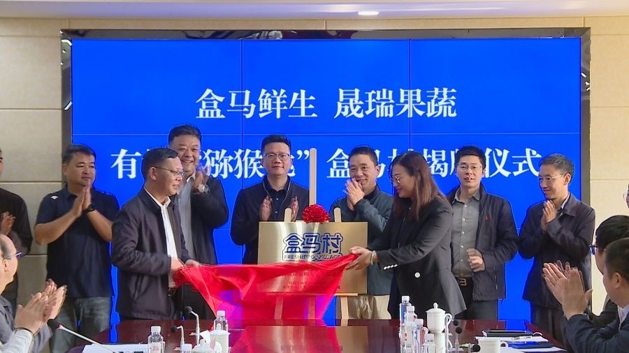 有机猕猴桃“盒马村”落地昆明寻甸