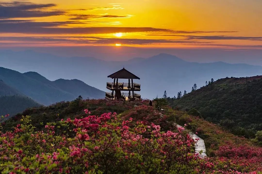 云南省文化和旅游厅