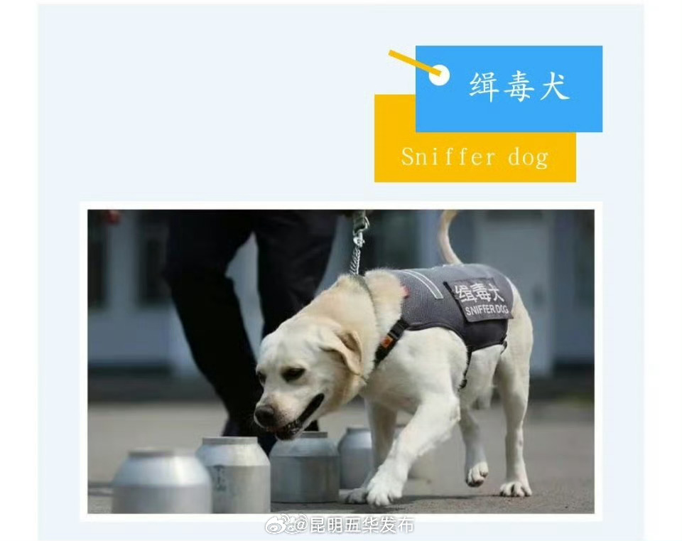 昆明五华发布