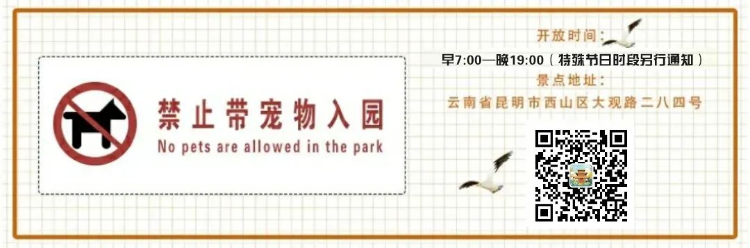 大观楼