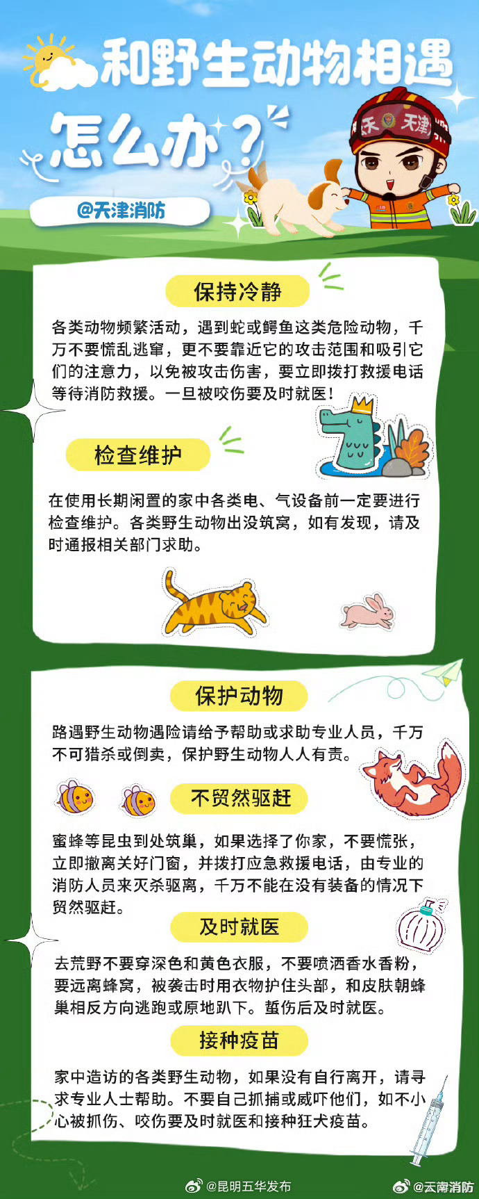 与野生动物相遇的那些事