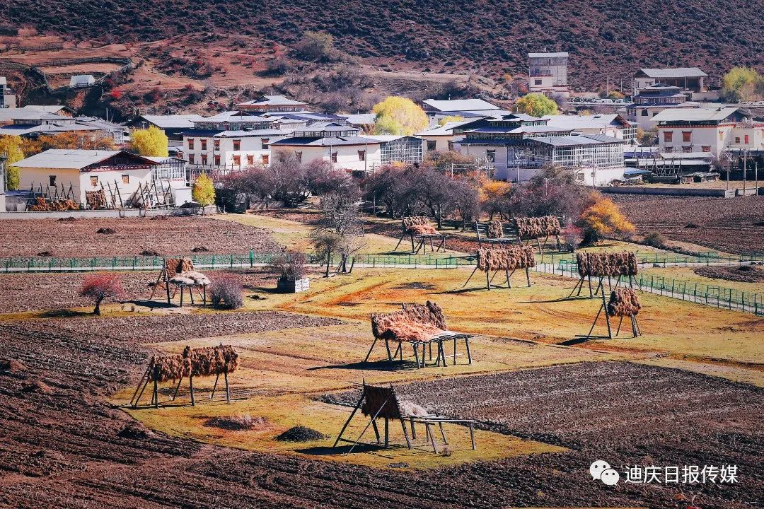 迪庆日报传媒