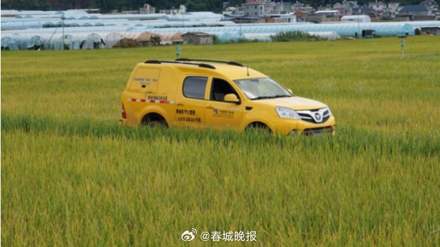 来去有念 何以开远 ｜“零距离”通电 “米粮仓”飘香_http://www.mainten.cn_cns_第1张