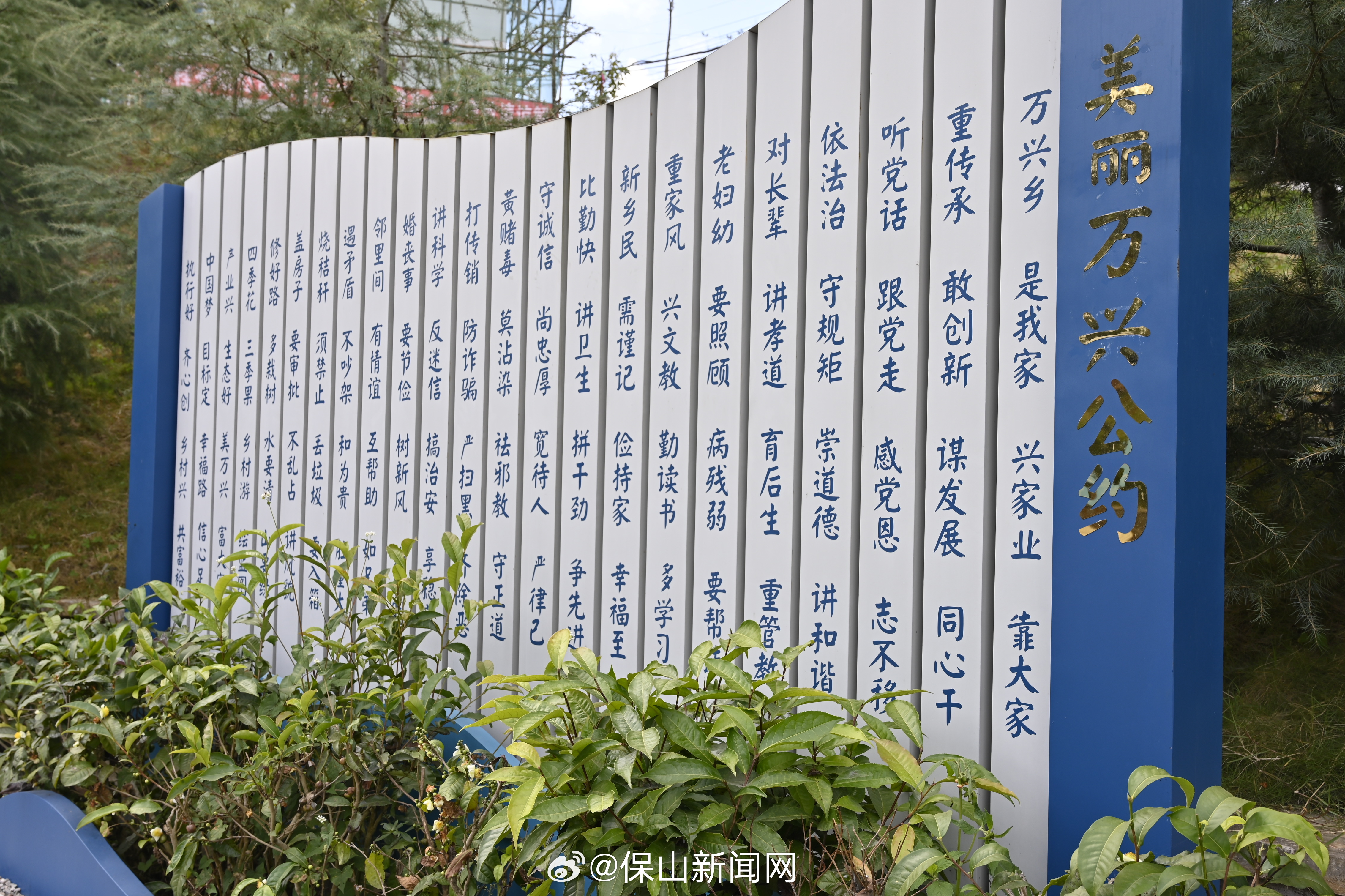 保山新闻网