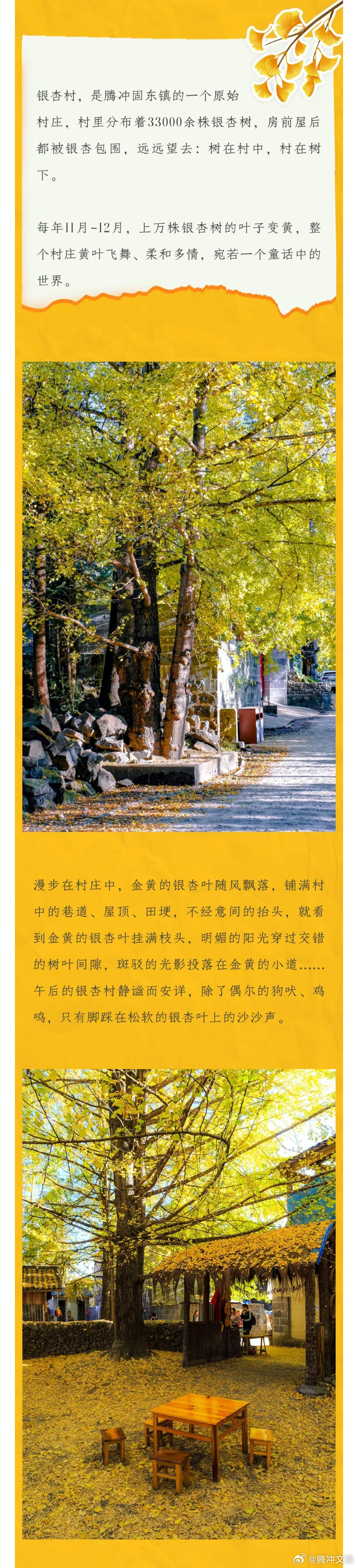 腾冲文旅