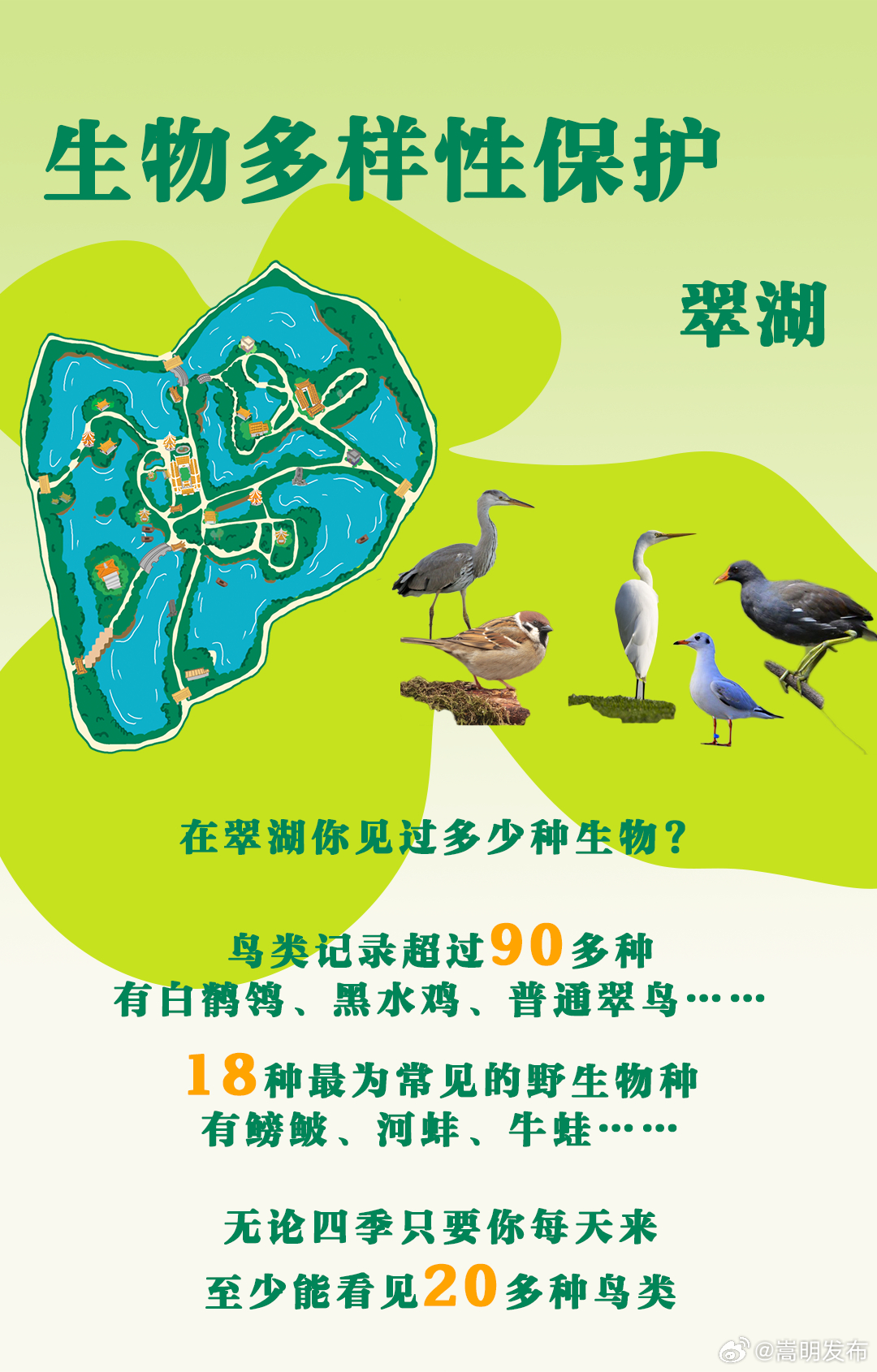 全球“生物多样性魅力城市”怎么样，快来翠湖体验吧……