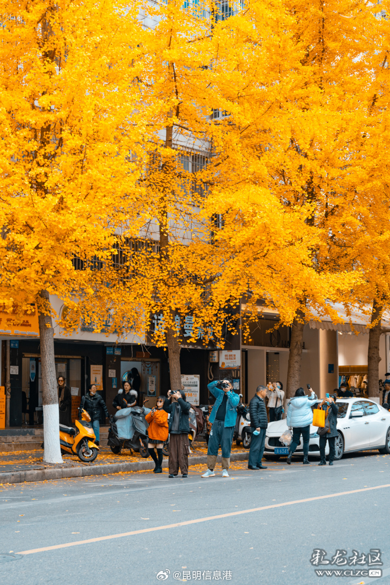 昆明信息港微博