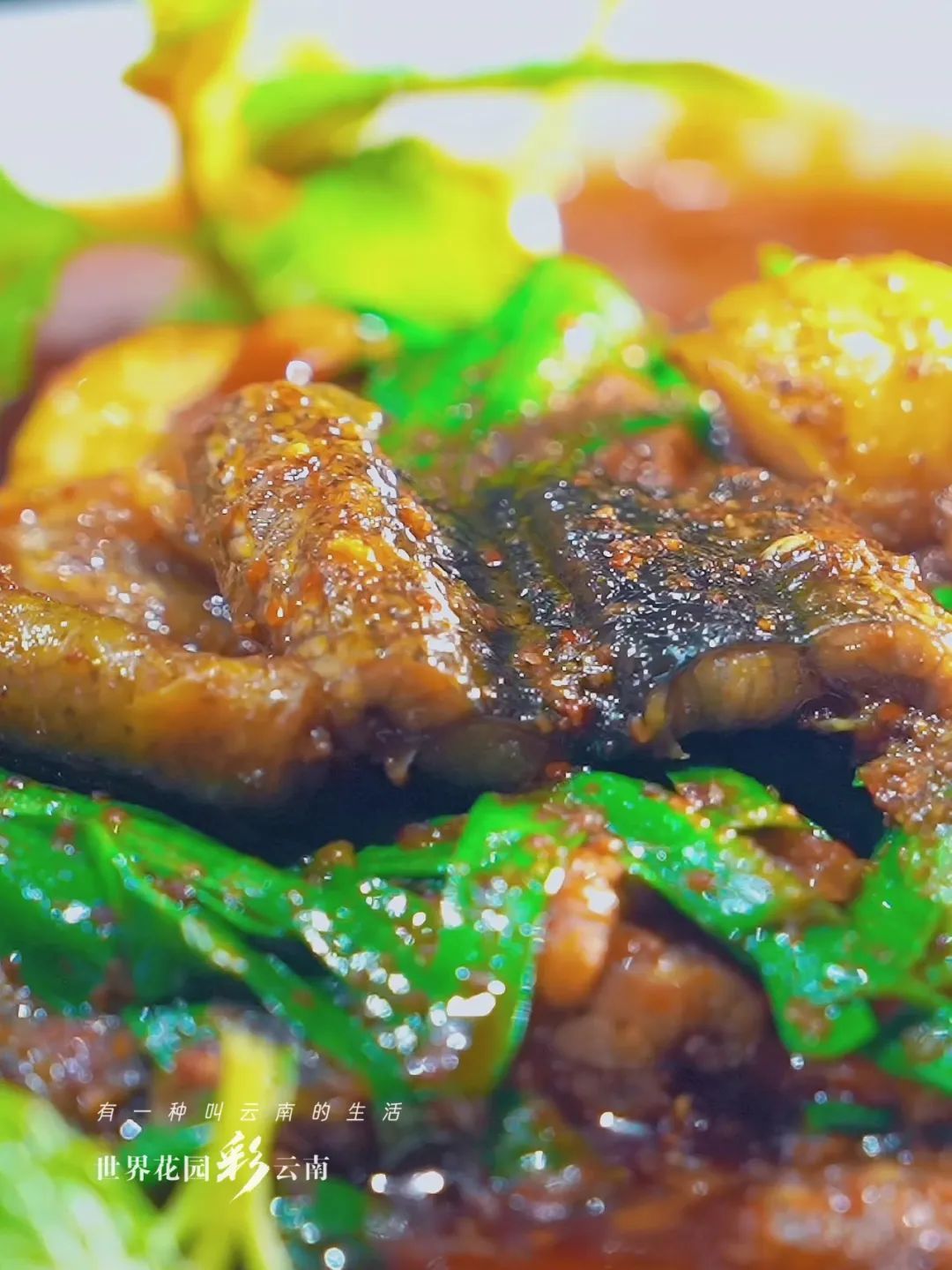 云南省文化和旅游厅